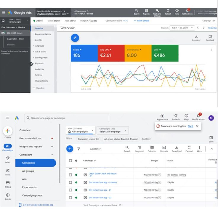 Google Ads account overview — campaign list and performance charts